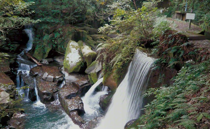 🌊 세키요시 수로 (세키요시노소수이코) 이미지 5
